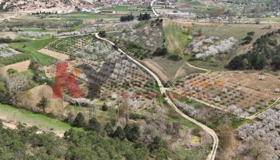 AKDOĞAN MAHALLESİ'nde BULUNAN MEYVA BAHÇEMİZ